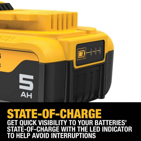 20-Volt MAX Lithium-Ion Cordless Bluetooth Speaker with (2) 5.0 Ah Batteries and Charger