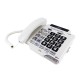 CS-CSC500 Spirit Amplified Telephone - 6 Pack